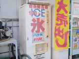 P7300028