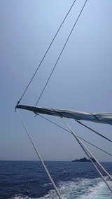 DSC_1830