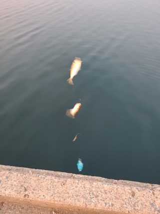 20230725_193712