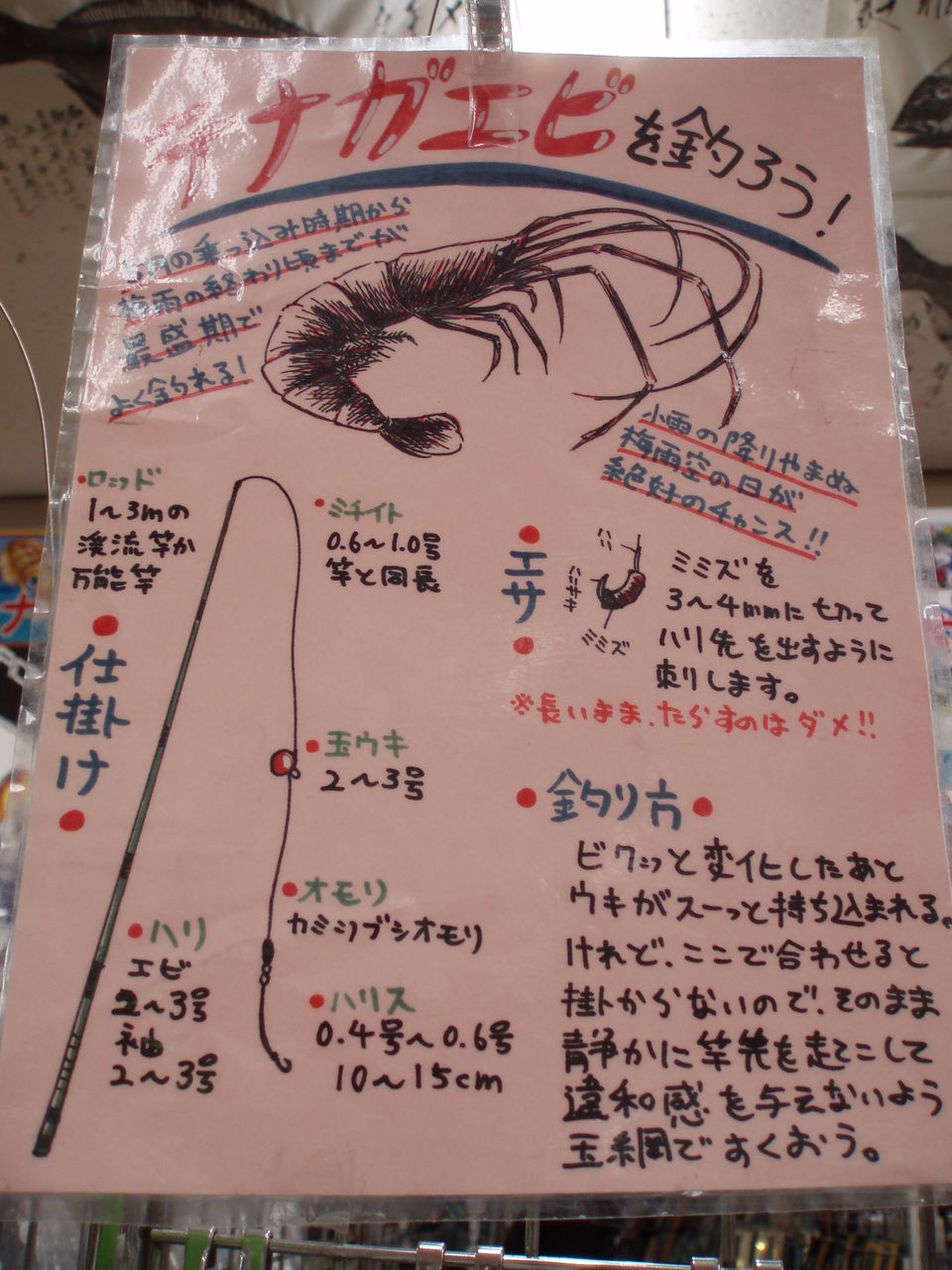 テナガエビ好調です まるきん佐賀店 スタッフblog テナガエビ好調です まるきん佐賀店 スタッフblog