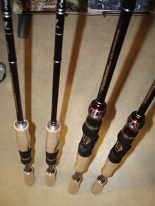 ポイズングロリアス③