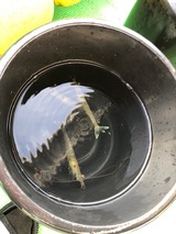 image1 (6)
