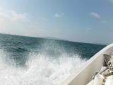 DSCF0277