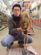 20120107ミズイカ佐尾さん