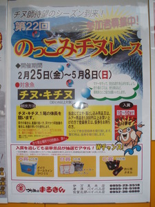 のっこみチヌレース