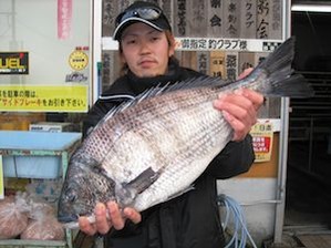 釣果写真(ダゴチン)
