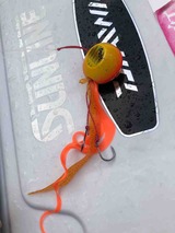 IMG_5571