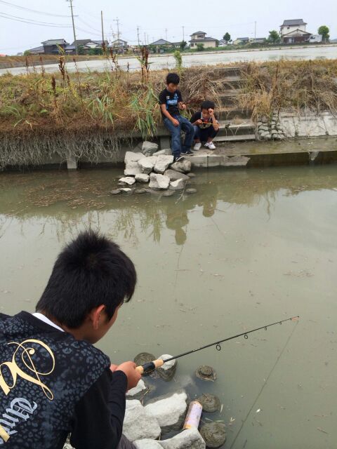 スタッフ谷上の手長エビ調査 まるきん佐賀店 スタッフblog