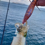 IMG_20211112_113711_425