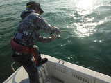 DSCF0286
