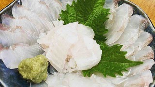 IMG_0967