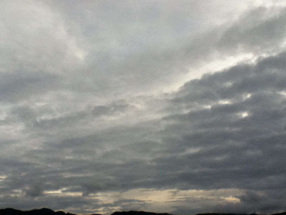 ウナギ釣り行ってきました まるきん佐賀店 スタッフblog