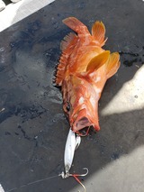 20190730_094928