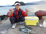 サヨリ