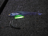 DSCF0127