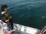 DSCF0287
