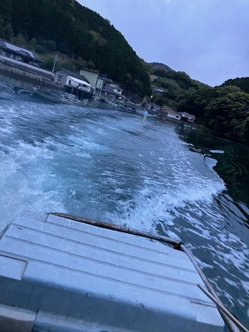 image12