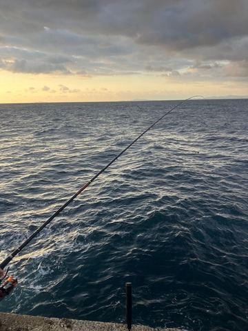 image15