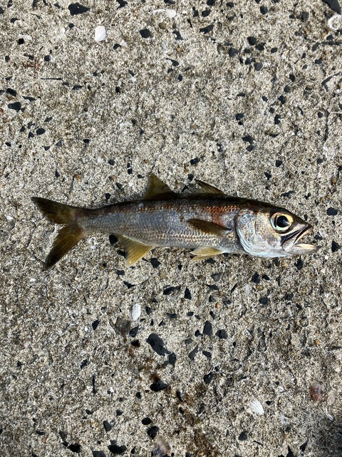 image9