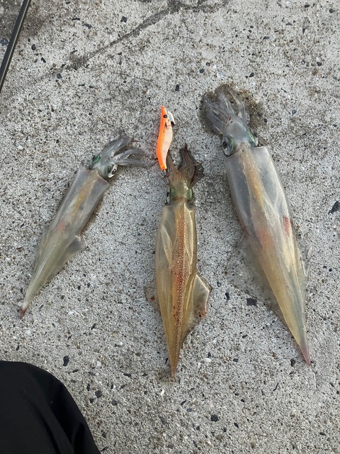 image5