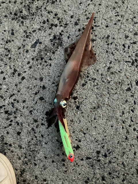 image6