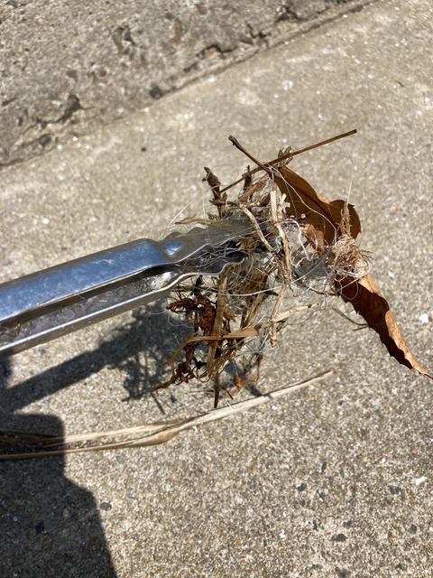 image9 (4)