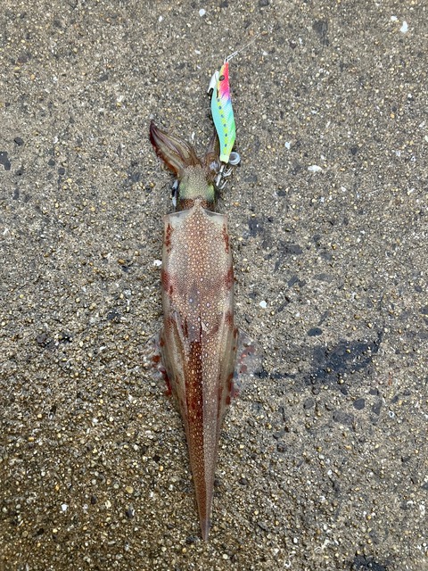 image16