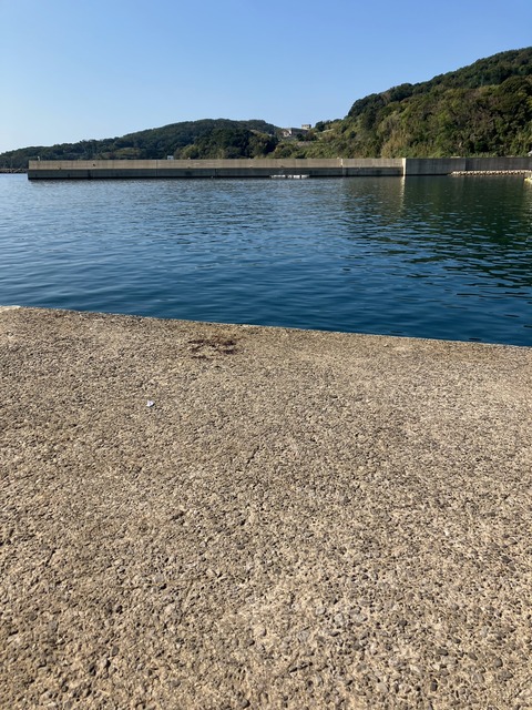 image7