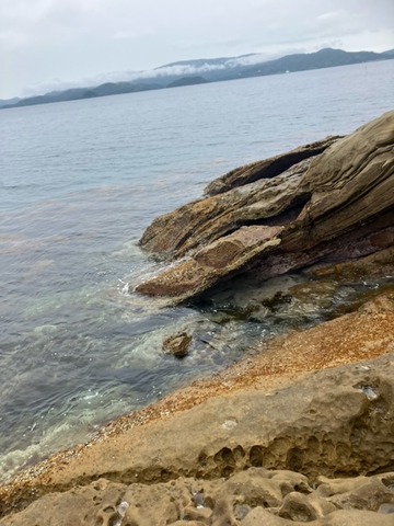 image7
