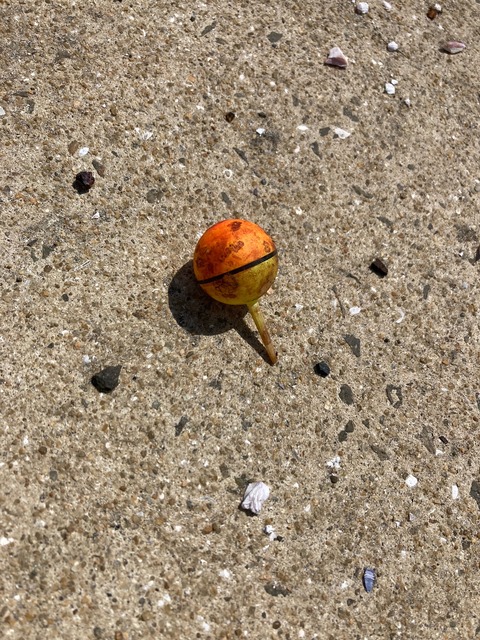 image5 (3)