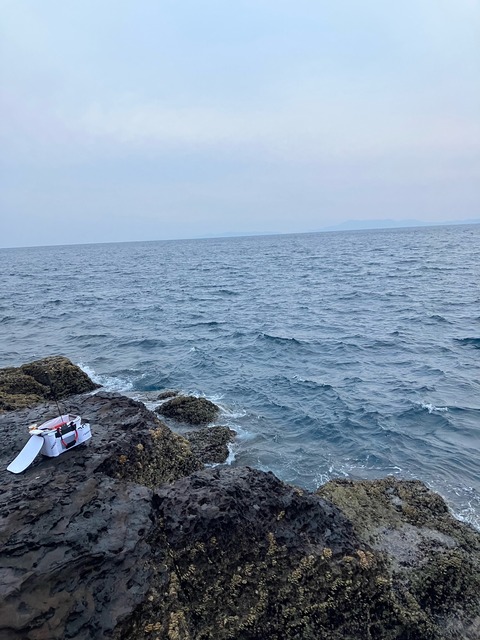 image12