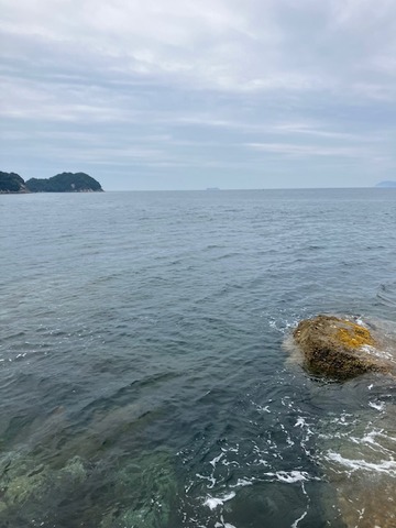 image4