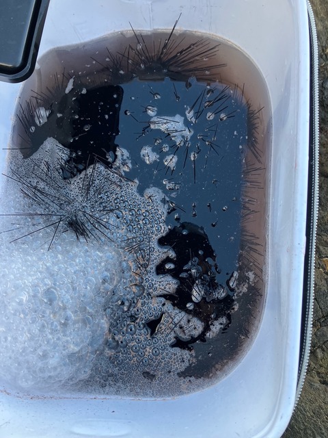 image6