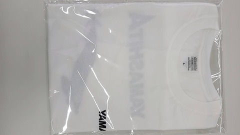 Tシャツ