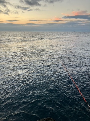 image10