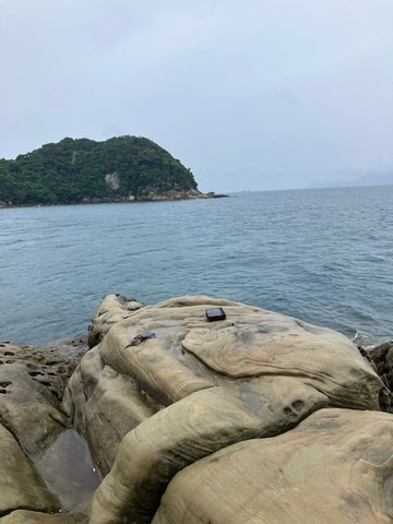image11