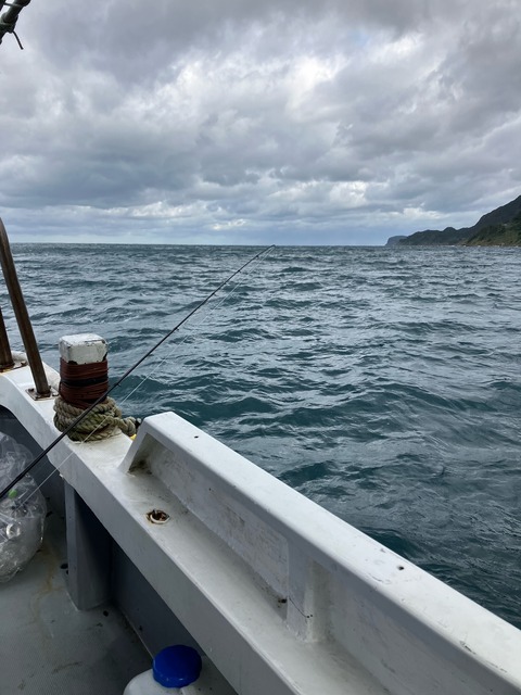 image13