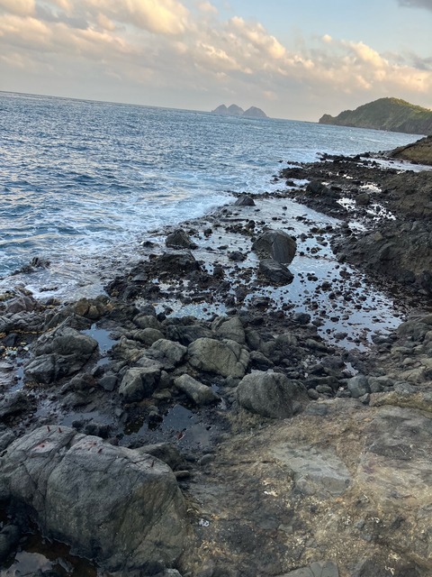 image10