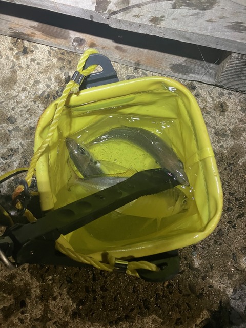 image7