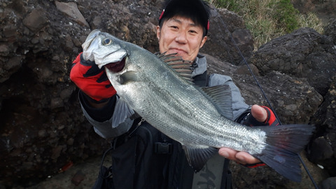 887A00FD-B576-4A31-BD39-D31BA5D87F60