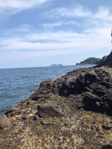 image6