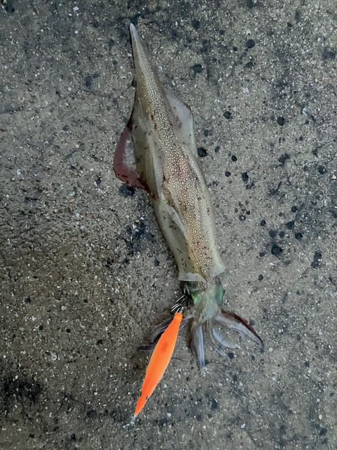 image13