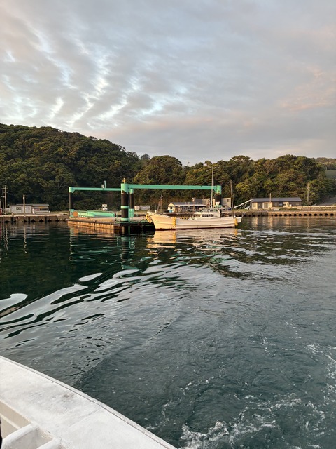 image12 (1)