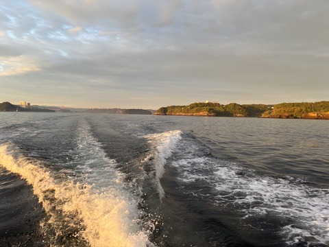 image11 (1)