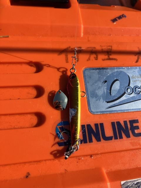 image12