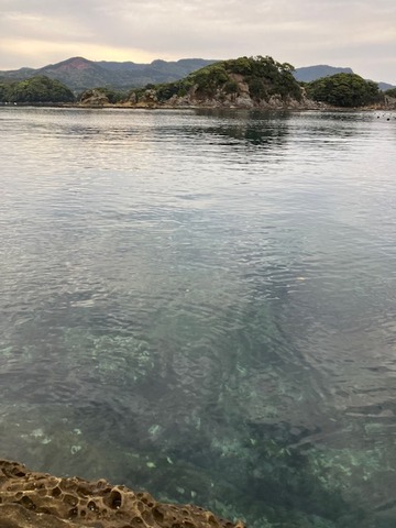 image10