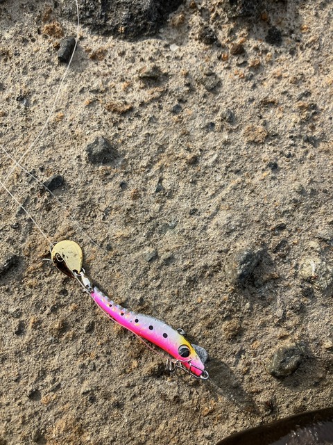 image8