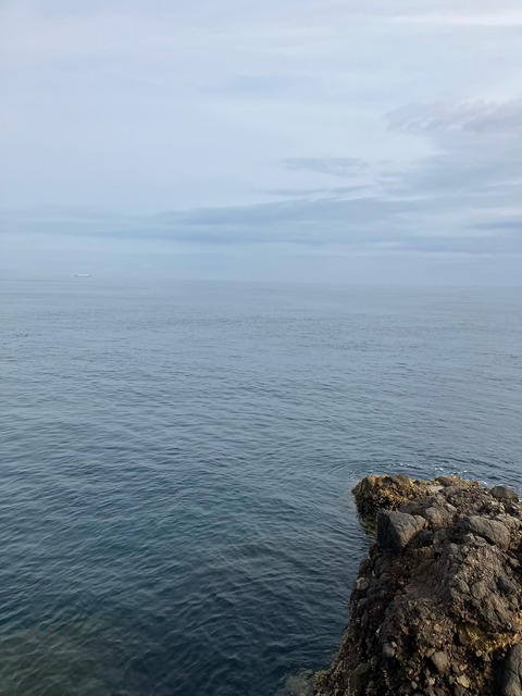 image6