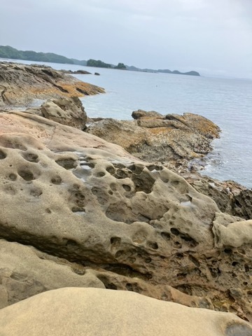 image6