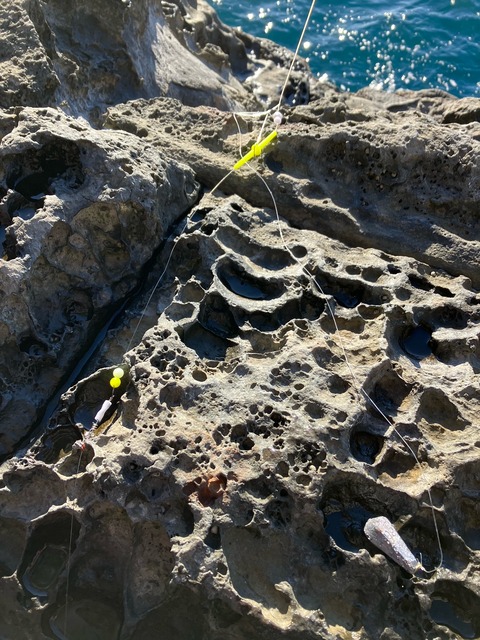 image6